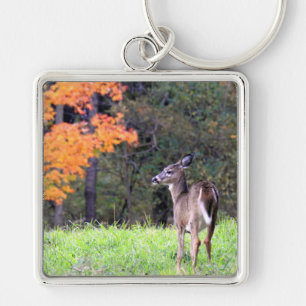 White Tailed Deer In an Autumn Field Key Ring
