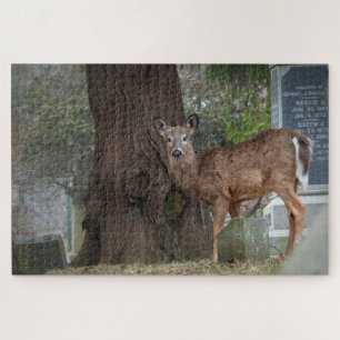 White tailed Deer in Cemetery Jigsaw Puzzle