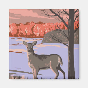  White Tailed Deer Magnet