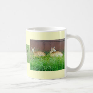 White-Tailed Deer Mug