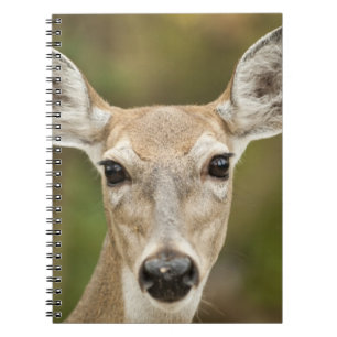 White Tailed Deer Notebook