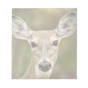 White Tailed Deer Notepad