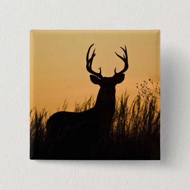 white-tailed deer Odocoileus virginianus) 15 Cm Square Badge (Front)
