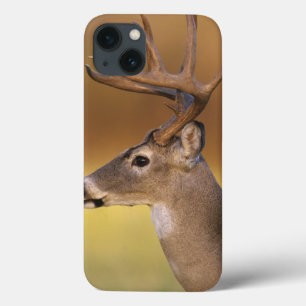 White-tailed Deer, Odocoileus virginianus, iPhone 13 Case