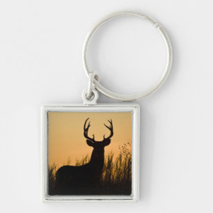 white-tailed deer Odocoileus virginianus) Key Ring