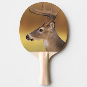 White-tailed Deer, Odocoileus virginianus, Ping Pong Paddle