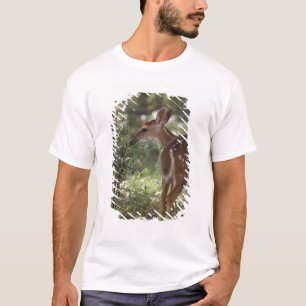White-tailed Deer, Odocoileus virginianus T-Shirt