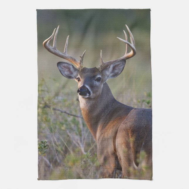 white-tailed deer Odocoileus virginianus Tea Towel (Vertical)