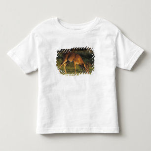 White-tailed Deer, Odocoileus virginianus Toddler T-Shirt