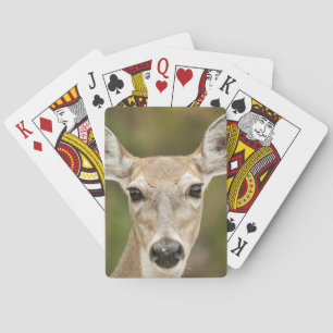 White Tailed Deer Playing Cards