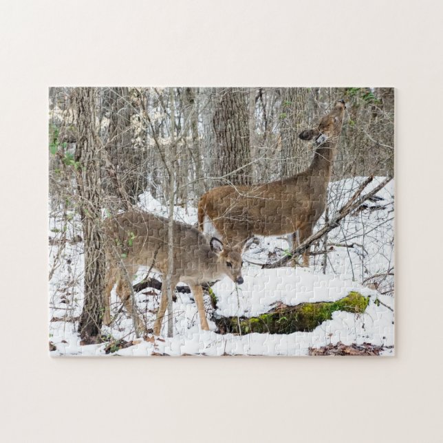 White-Tailed Deer Puzzle (Horizontal)