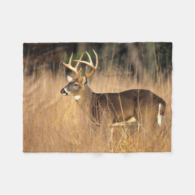 White-tailed Deer | Smoky Mountains Tennessee Fleece Blanket (Front (Horizontal))