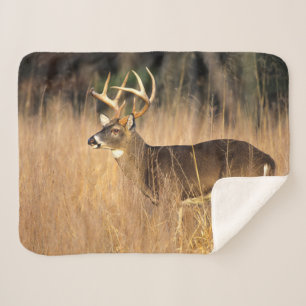 White-tailed Deer   Smoky Mountains Tennessee Sherpa Blanket