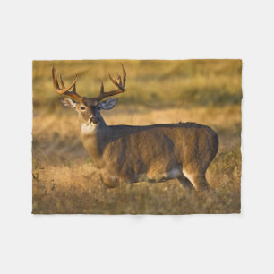 White-tailed Deer   South Texas Fleece Blanket