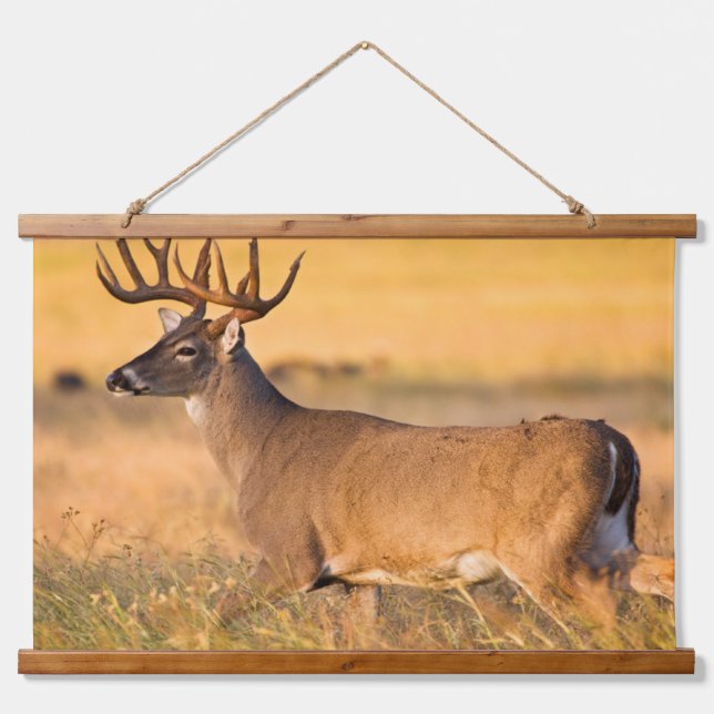 White-tailed Deer | South TX Hanging Tapestry (Front)
