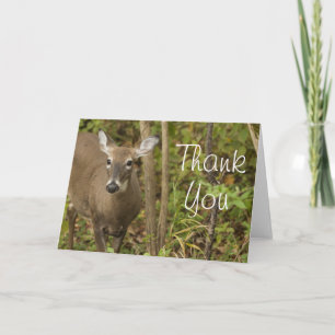 White Tailed Deer Thank You Card