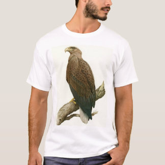 White-tailed Eagle, adult T-Shirt