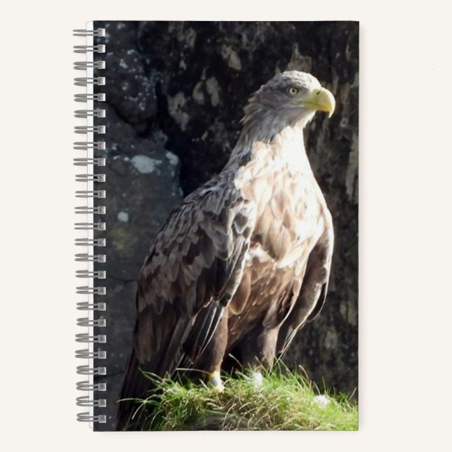 White Tailed Eagle Coastal Rock Wildlife  Notebook (Front)