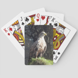 White Tailed Eagle on Rock Playing Cards