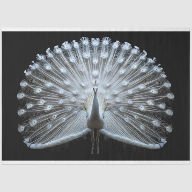 White Tailed Peacock Decoupage Tissue Paper (Front)