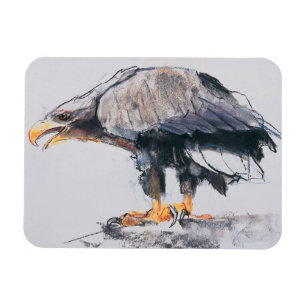 White tailed Sea Eagle 2001 Magnet