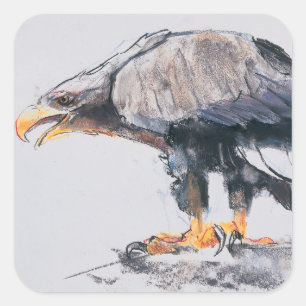 White tailed Sea Eagle 2001 Square Sticker
