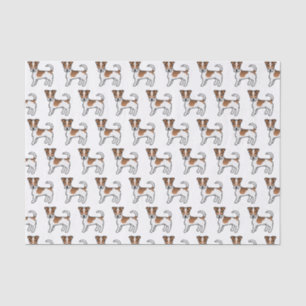 White & Tan Rough Coat Jack Russell Terrier Dogs Tissue Paper