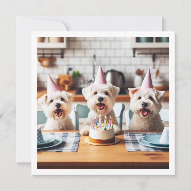 White terrier card, White terrier birthday Invitation (Front)
