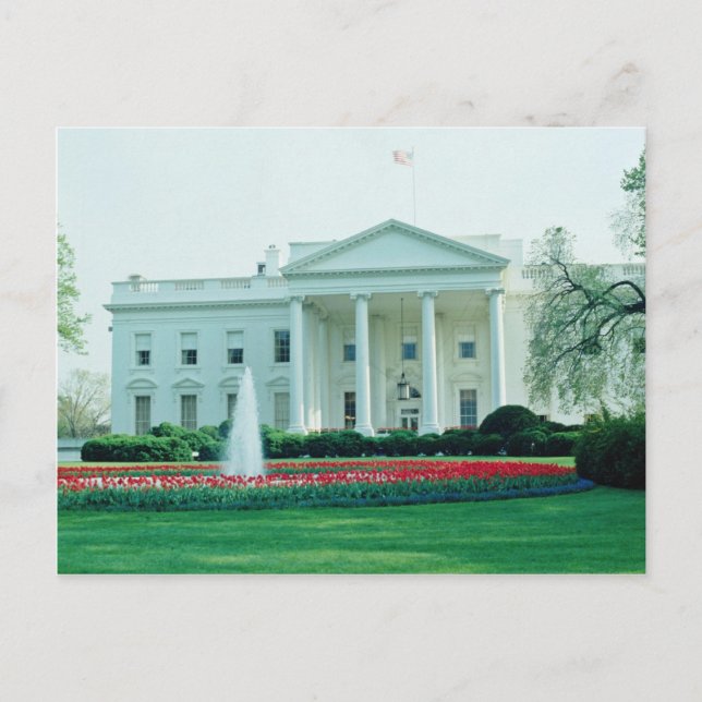 White The White House, Washington, D.C., U.S.A. fl Postcard (Front)