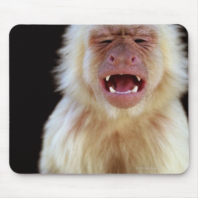 White-throated capuchin (Cebus capucinus) Mouse Pad (Front)