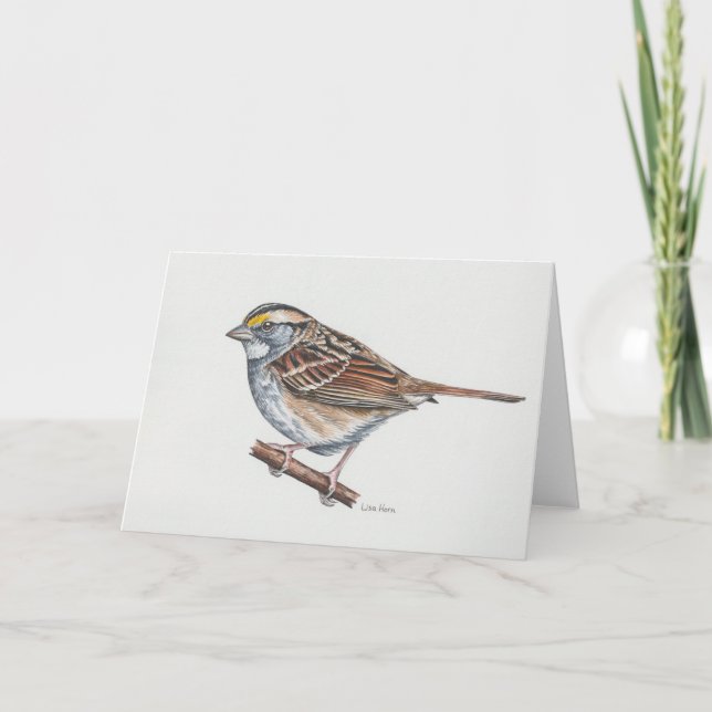 White-throated Sparrow Art Card (Front)