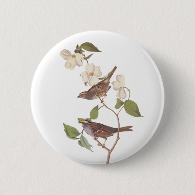 White-Throated Sparrow Audubon Bird in Dogwood 6 Cm Round Badge (Front)