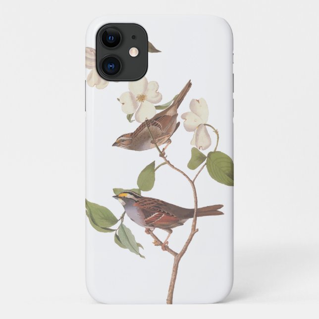 White-Throated Sparrow Audubon Birds in Dogwood Case-Mate iPhone Case (Back)
