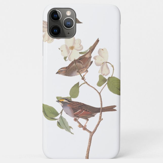 White-Throated Sparrow Audubon Birds in Dogwood Case-Mate iPhone Case (Back)