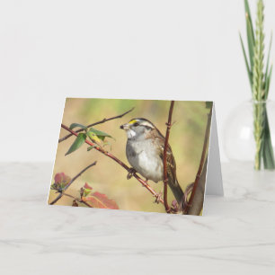 White-Throated Sparrow Card