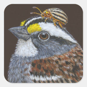 white-throated sparrow stickers