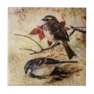 White-Throated Sparrows and Fall Leaves Tile