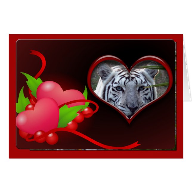 white-tiger-00102-65x45 (Front Horizontal)
