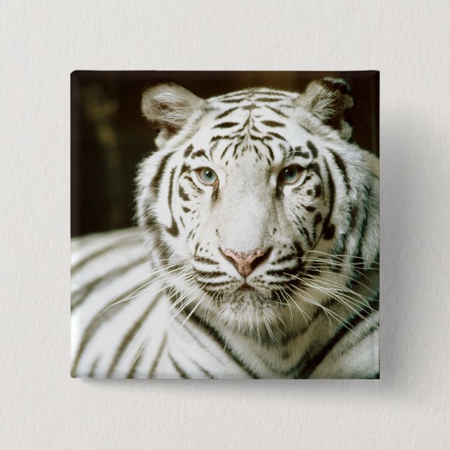 White Tiger 15 Cm Square Badge (Front)