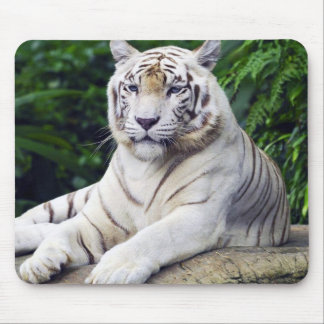 White Tiger 1 Mousepad