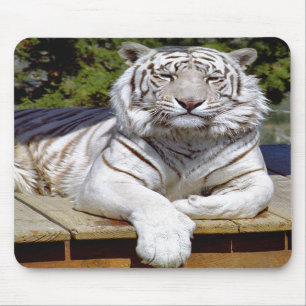 White Tiger 9 Mousepad
