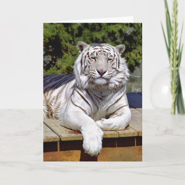 White Tiger 9 Note Card (Front)