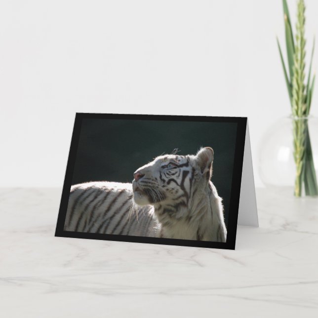 WHITE TIGER BLANK NOTE CARD (Front)