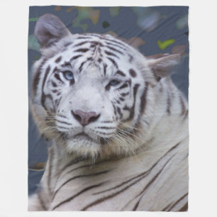 White tiger blanket