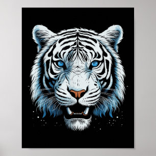 White Tiger Blue Eyes Wild Cat Animal Poster