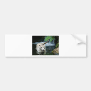 White Tiger Bumper Sticker