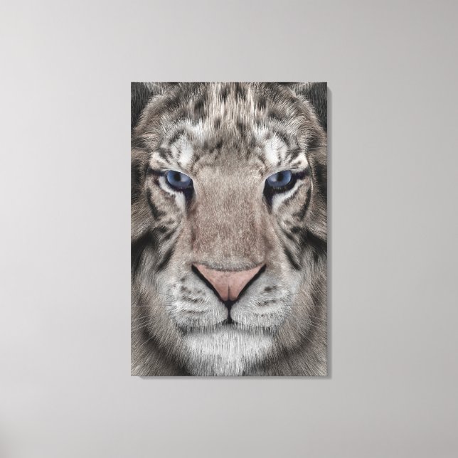 White Tiger Canvas Print (Front)