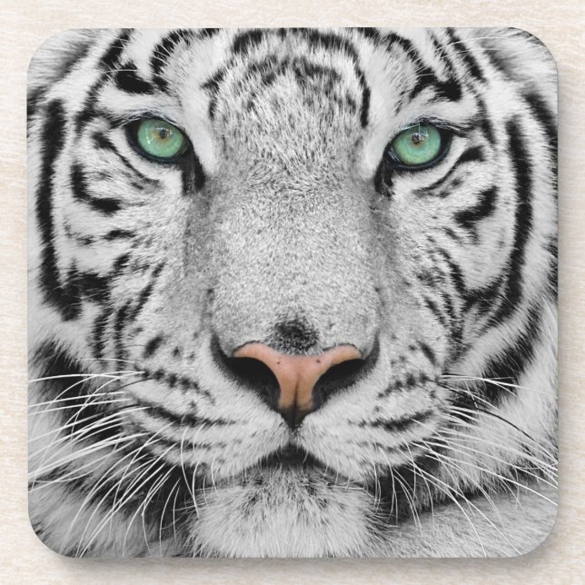 White Tiger Coaster (Front)