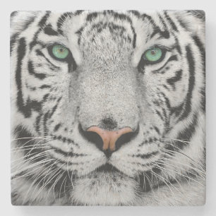 WHITE TIGER FACE CLOSE-UP STONE COASTER