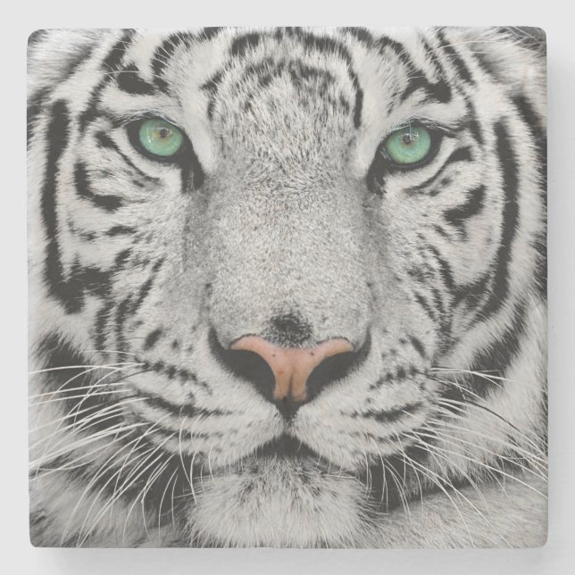 WHITE TIGER FACE CLOSE-UP STONE COASTER (Front)